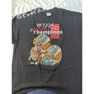Vintage Salem Sportswear 1993Chicago Bulls World Champions3-Peat Rings T-Shirt
